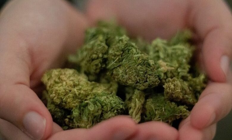 Why Big Chief Carts Are a Favorite Among Cannabis&nbsp;Enthusiasts