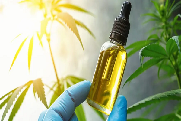 CBD Oil For Pets: Where To&nbsp;Buy?