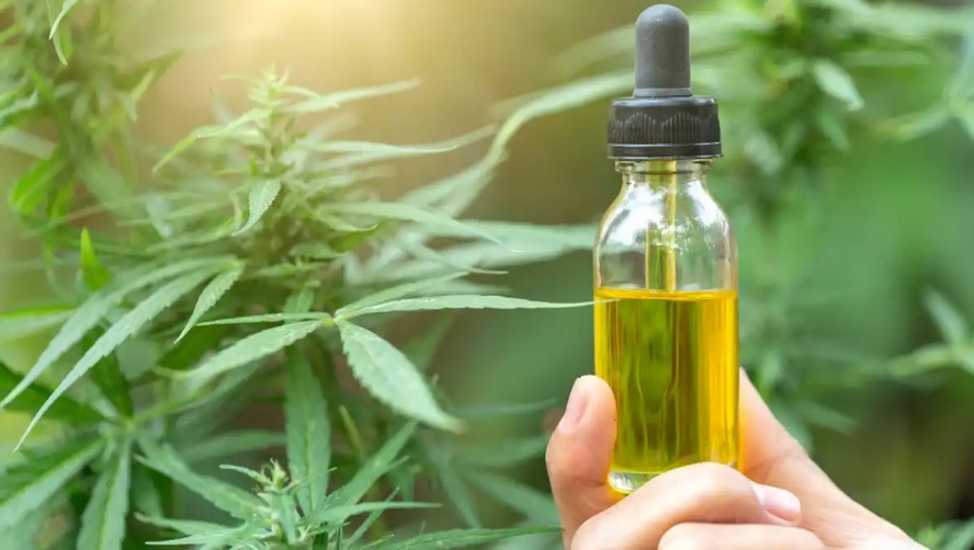 What Are CBD&nbsp;Tinctures?